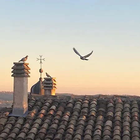 Terracielo Ramona Homestay